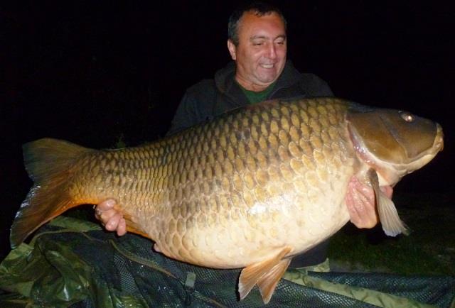 Crap comun de 43,075 kg. 